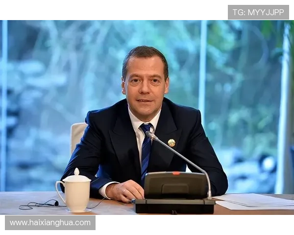 上普京官网：关注普京总统的外交政策与俄罗斯对外关系发展