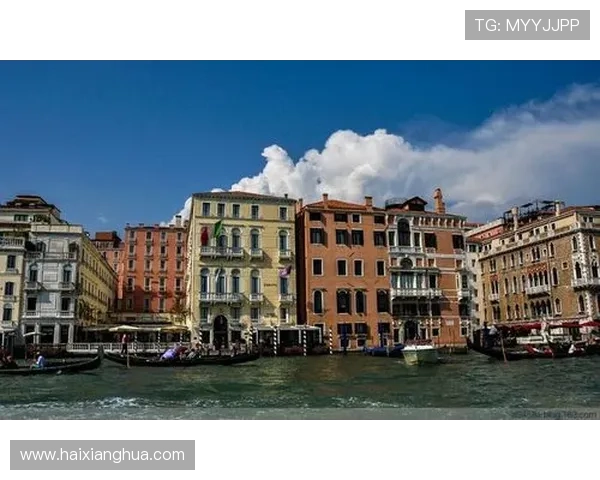 威尼斯网址：官方认证的威尼斯旅游信息平台全面介绍