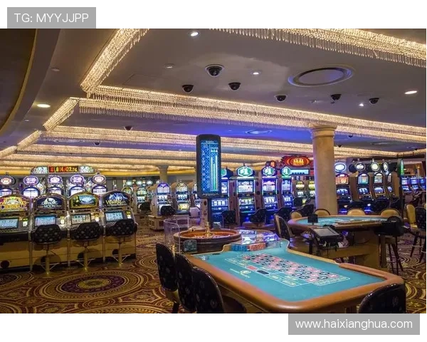 摩卡角子机娱乐场：打造最专业的角子机娱乐体验场所