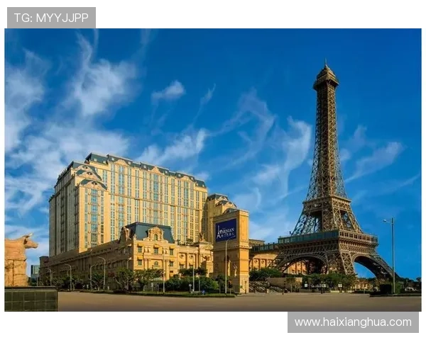 澳门巴黎人网址登录线路选择指南，提升登录速度和安全性，保障玩家游戏体验