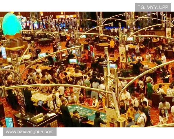 澳门新濠影汇交通攻略全方位解析方便快捷抵达澳门娱乐新地标的最佳路线