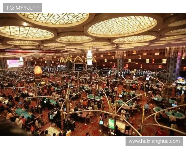 澳门棋牌百家乐策略指南,提升你的赢率和游戏乐趣的实用技巧 澳门棋牌百家乐策略指南,提升你的赢率和游戏乐趣的实用技巧