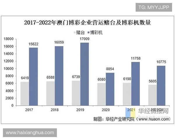 澳门赌场年龄限制政策变化趋势分析，未满21岁玩家应注意的法律规定与安全措施